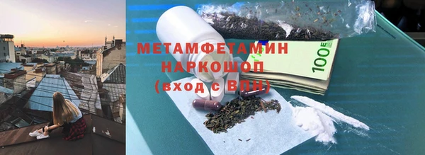 гидра Каменка