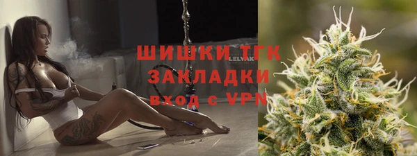 гидра Каменка