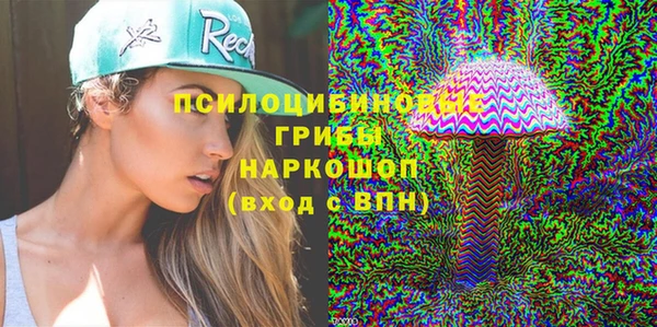 гидра Каменка
