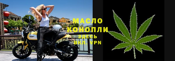 гидра Каменка