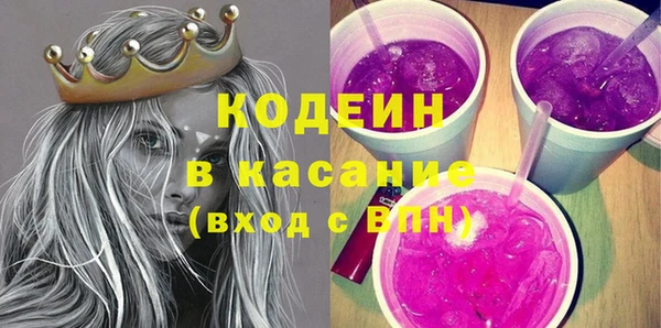 гидра Каменка