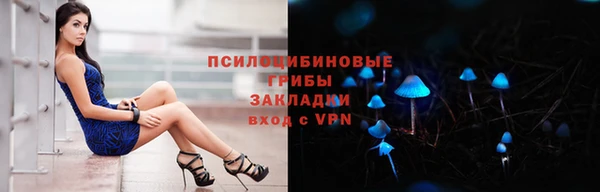спиды Каменск-Шахтинский