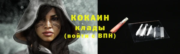 кокс Каменногорск