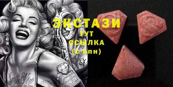 гидра Каменка