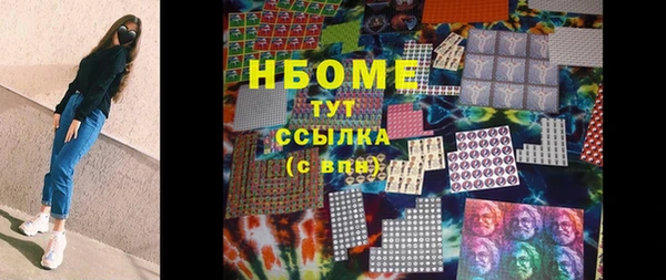 гидра Каменка