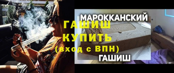 гидра Каменка