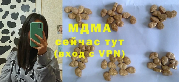гидра Каменка