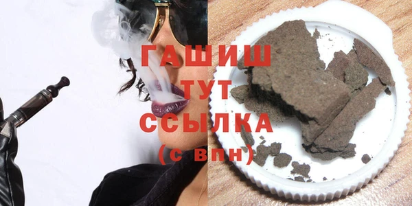 гидра Каменка